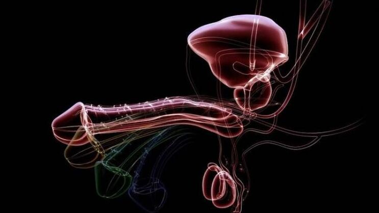 Por que aparece a descarga cando os homes están excitados e é normal